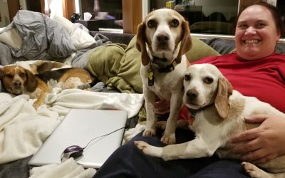 Hiring a Dog Walker: What to Ask Beforehand