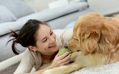 Daycare vs Dog Walker: Best Choice for Fido?