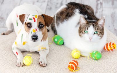 Healthy/Safe Easter Fun with Dogs & Cats