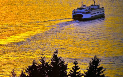 Dog Walk: Sunset Avenue Park in Edmonds