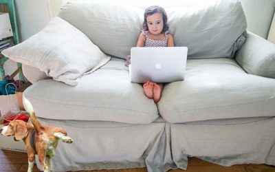 Marking Inside: Why Dogs Do It