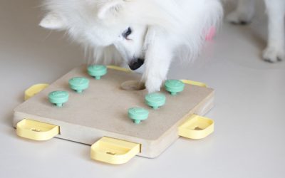 5 Must Have Gadgets for Your Puppy