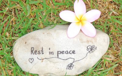 Loss of a pet – ways to cope