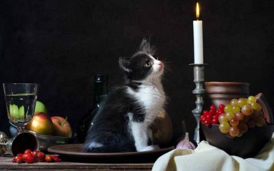 Thanksgiving Safety Tips for Cats