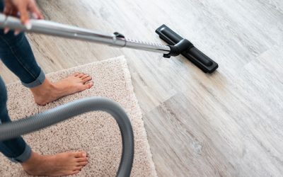 Cat Odors-How To Manage