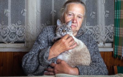 Socialize Your Cat With People