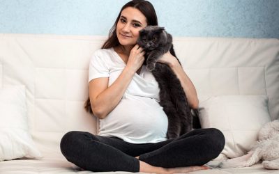 Toxoplasmosis-Eliminate the Chances