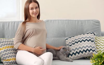 Pregnant Women-Myths Regarding Toxoplasmosis