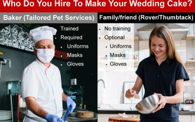 Professional vs App: WAG, Rover, Thumbtack