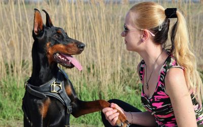 Obedience-Tips To Make It Easier for Your Dog