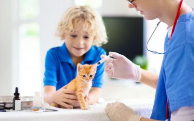 Vaccines: Non-Core Ones Needed by Cats