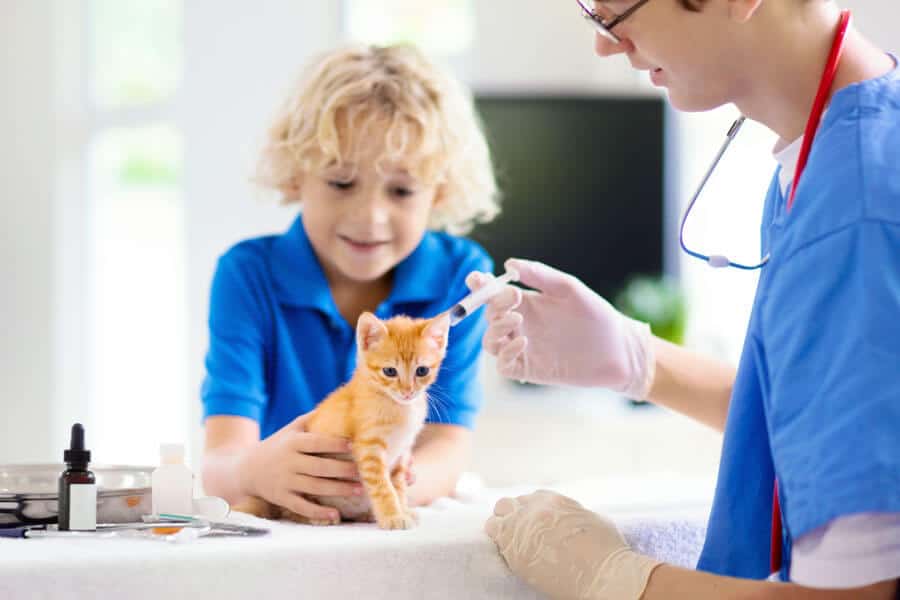 Vaccines: Non-Core Ones Needed by Cats