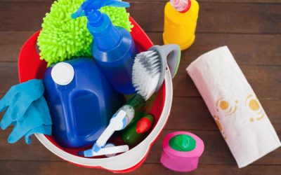 Cleaners Dangerous to Cats