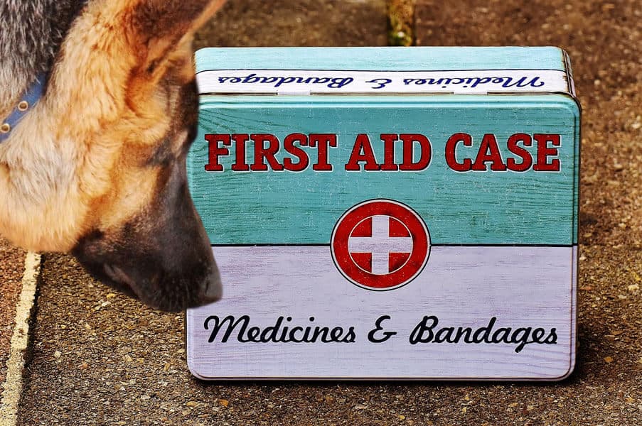 Medications For Your Dog’s First Aid Kit