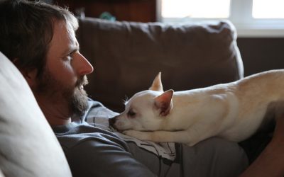 6 Ways Dogs Show Their Love