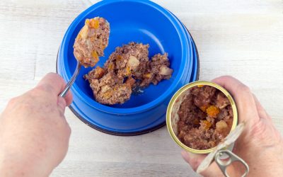 National Canned Food Month