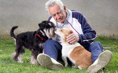 Senior citizens: benefits of owning dog