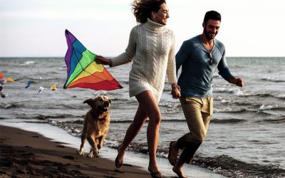 Responsible Pet Owners Month