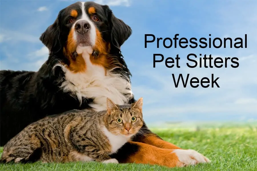 Professional Pet Sitters Week