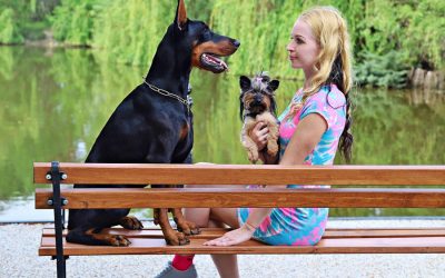 How to Introduce a Puppy to an Adult Dog