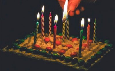 Tailored Pet Services’ 9th Anniversary