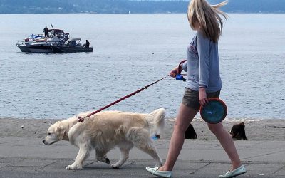 Better Walk Experience for Fido