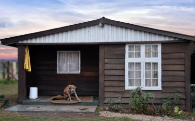 Pet Friendly Cabin or Vacation Rental