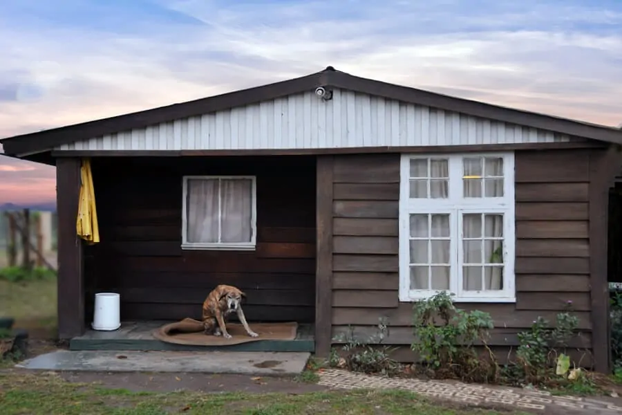 Pet Friendly Cabin or Vacation Rental