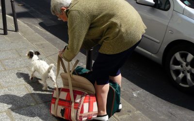 Proper Etiquette When Traveling With Pets