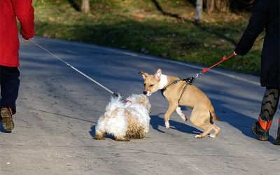 Introductions: Prerequisites