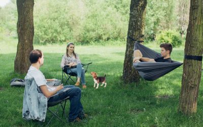 Puppy Socialization During COVID-19