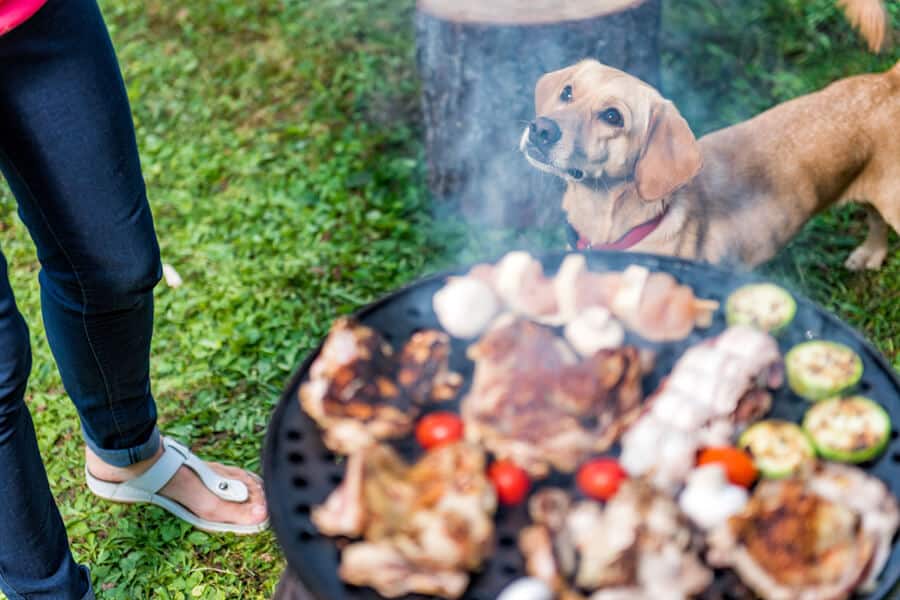 Cookouts Food and Pet Safety
