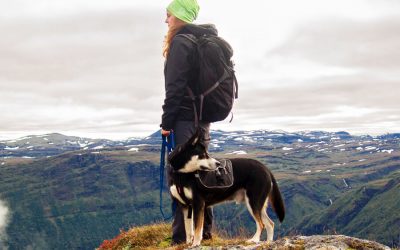 Hiking Washington State Parks With Fido
