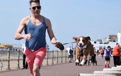 Retractable Leashes-Alternative