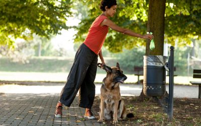 Top 6 Reasons To Pickup Your Dog Poop