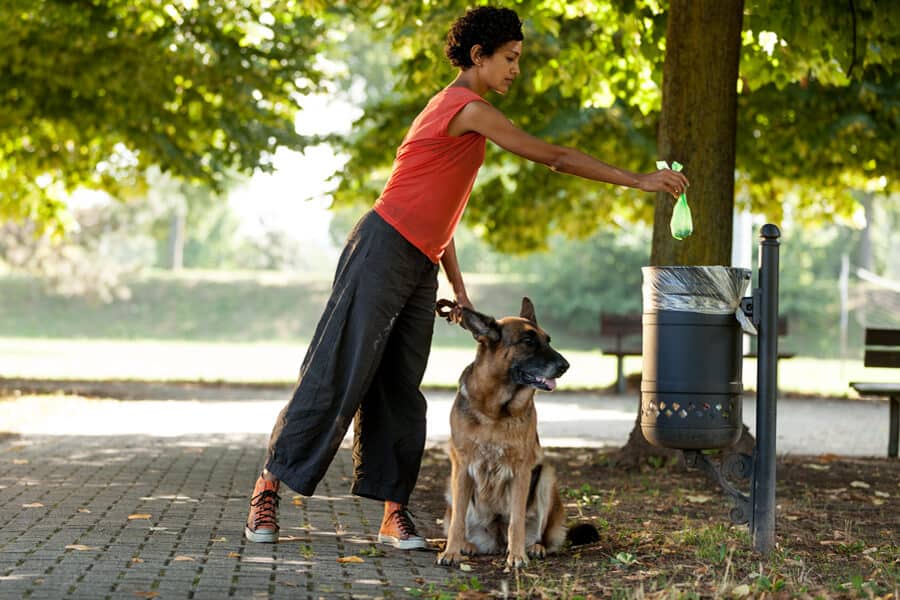 Top 6 Reasons To Pickup Your Dog Poop