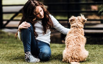 Cuddling/Petting Your Dog-Cues to Look for