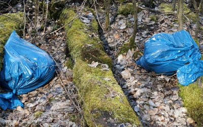 Alternative to Plastic Doggy Bags