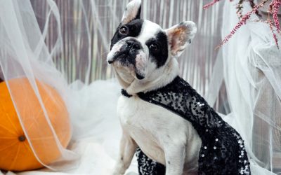 Halloween Costume Safety Tips for 2016