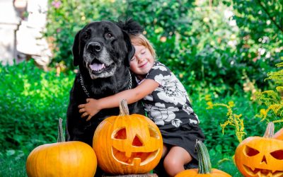 Throw a PawFect Halloween Pet Party