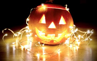 Halloween Decorations Unsafe for Pets
