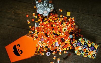 Halloween Treats Pets Should Avoid