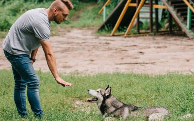 Teachers/Trainers – Qualities to Look For