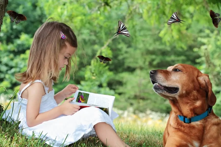 8 After-School Projects For Kids and Dogs