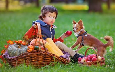 Thanksgiving Food You Can Share With Fido