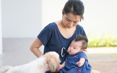 Baby-How to Prepare Your Dog