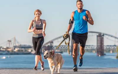 Top Tips for Running with Your Dog