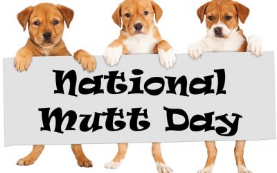 Celebrate National Mutt Day