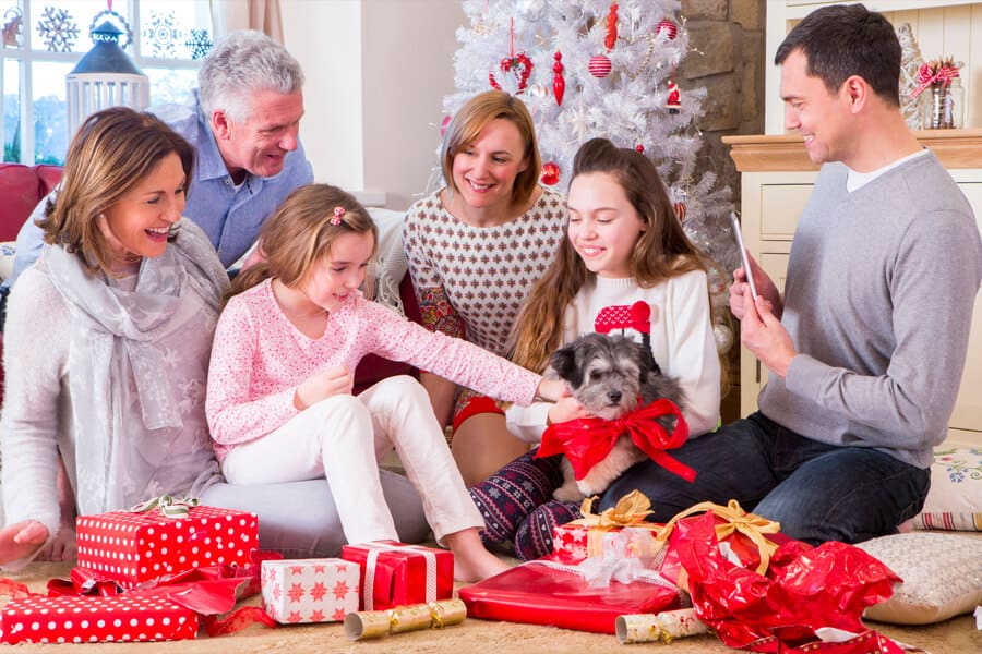 Socializing Your New Christmas Puppy