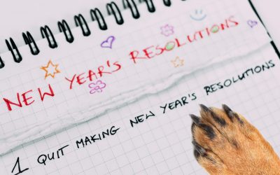 Top 7 Resolutions for You & Your Pet